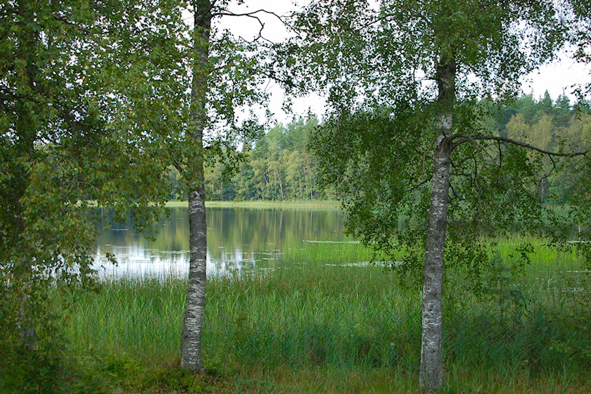 Agnasjön [foto: Henrik Hemrin]