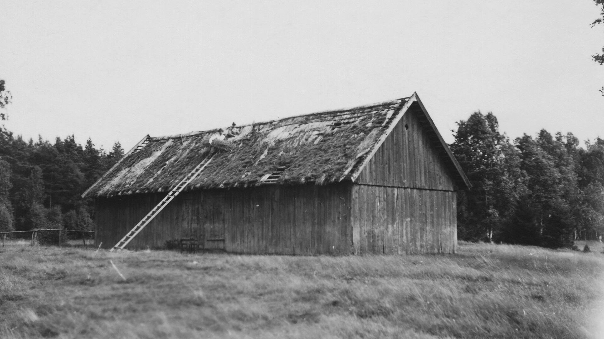 Lada på avstånd, stege, far och farfar på taket. 