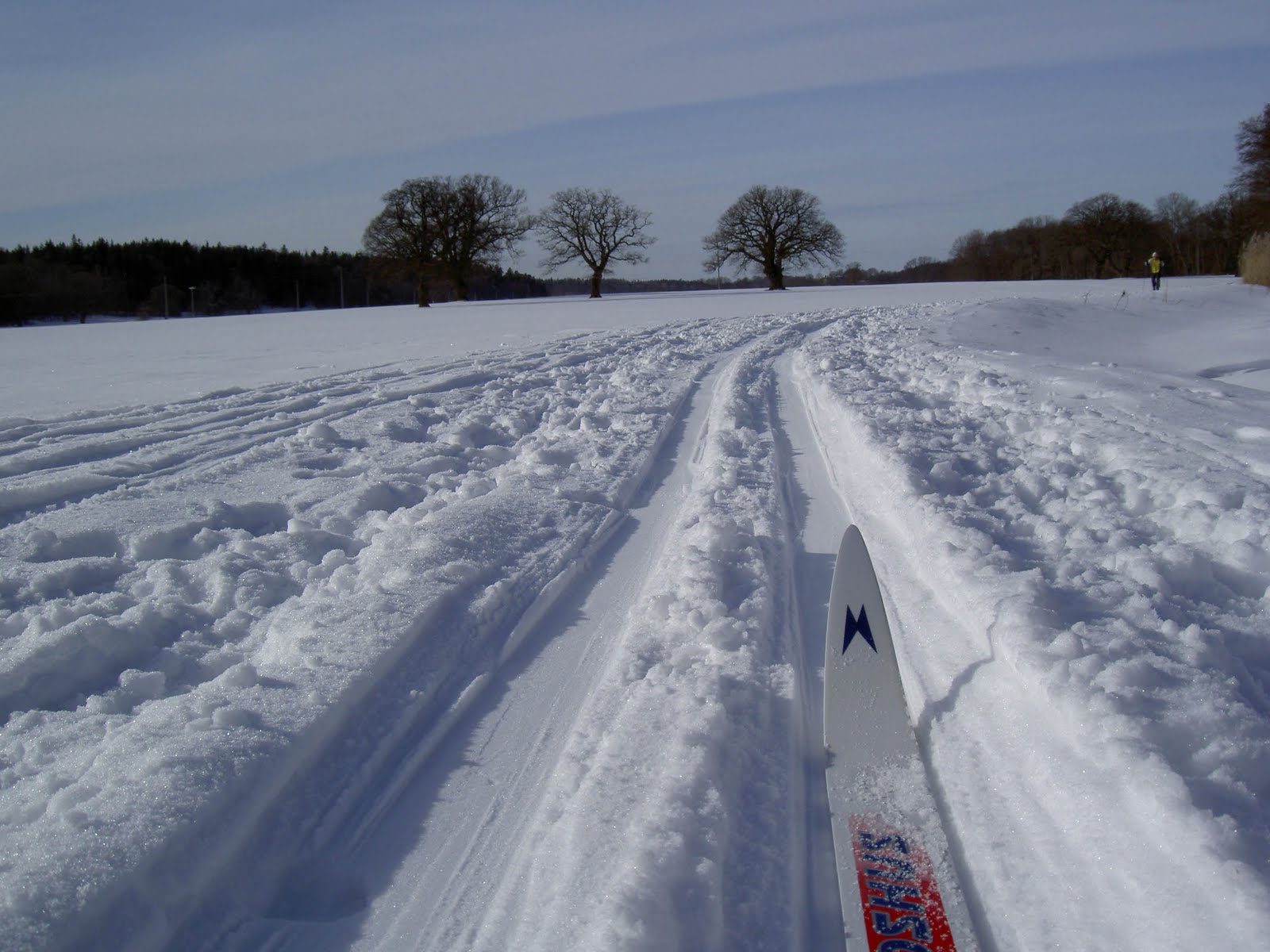 Skidåkning i Norsborg. Foto: Henrik Hemrin